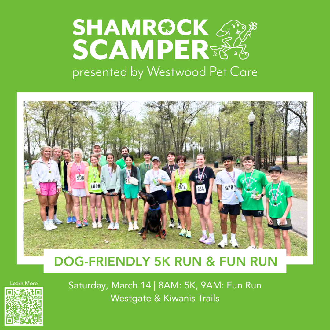 Shamrock Scamper 5K